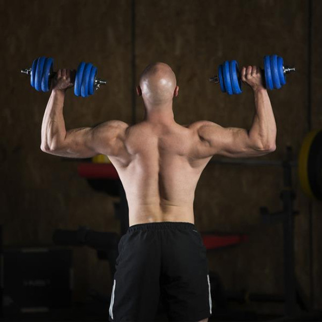 Гантели разборные HMS SGG30BAR с переходником для штанги, 30 кг