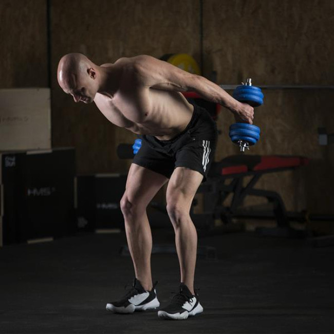 Гантели разборные HMS SGG30BAR с переходником для штанги, 30 кг