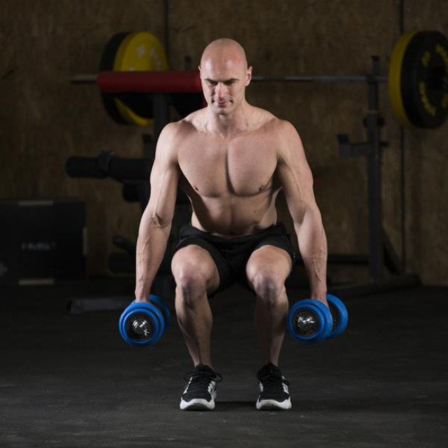 Гантели разборные HMS SGG30BAR с переходником для штанги, 30 кг