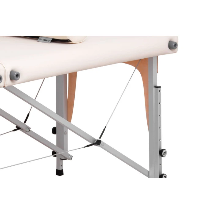 Массажный стол Pro Master ALU Ultra бежевый