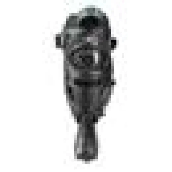 Ролики NILS EXTREME NA11002 чорно-сині розмір M (35-38)