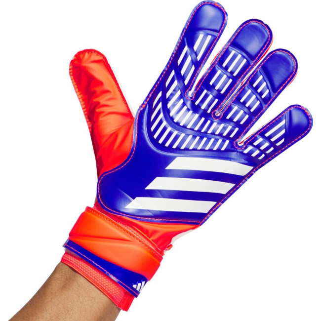 Перчатки вратарские Adidas Predator Training Goalkeeper IX3870 г. 11,5, разноцветные