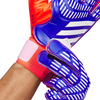 Перчатки вратарские Adidas Predator Training Goalkeeper IX3870 г. 11,5, разноцветные