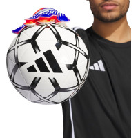 Перчатки вратарские Adidas Predator Training Goalkeeper IX3870 г. 11,5, разноцветные