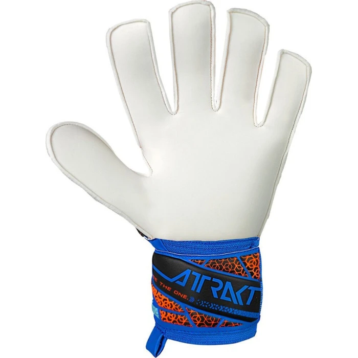 Перчатки вратарские Reusch Attrakt Solid 5570515 4467 г.10, сине-черные