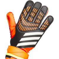 Рукавички воротарські Adidas Predator Training IQ4027 р. 10, різнокольорові