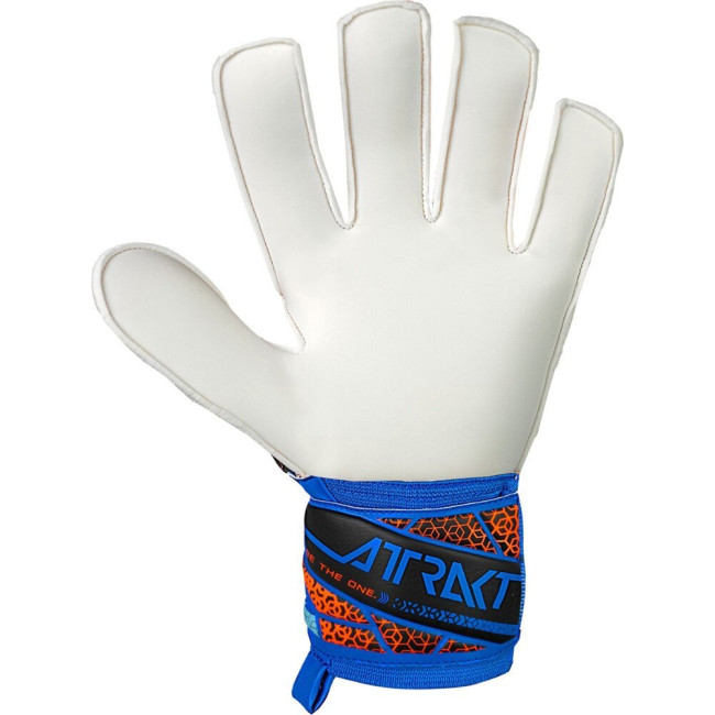 Перчатки вратарские Reusch Attrakt Solid 5570515 4467 г.7,5, сине-черные