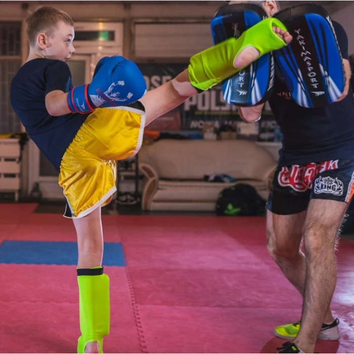 Лапи тренувальні Yakimasport Pao