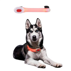 Собачий ошейник LED Light Petsaber Mini