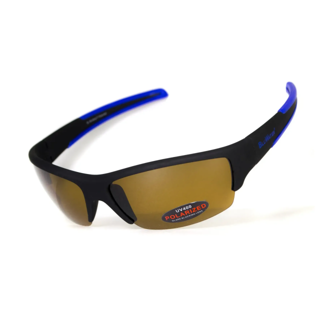 Окуляри поляризаційні BluWater Daytona-2 Polarized, коричневі