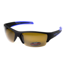 Окуляри поляризаційні BluWater Daytona-2 Polarized, коричневі