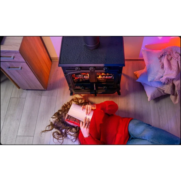 Дров'яна піч-камін чавунна Thunder Atar 10кВт