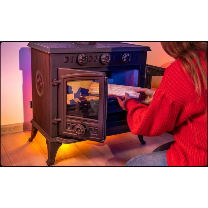 Дров'яна піч-камін чавунна Thunder Atar 10кВт