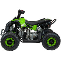 Дитячий акумуляторний квадроцикл RENEGADE HIPERFECT 110CC Зелений