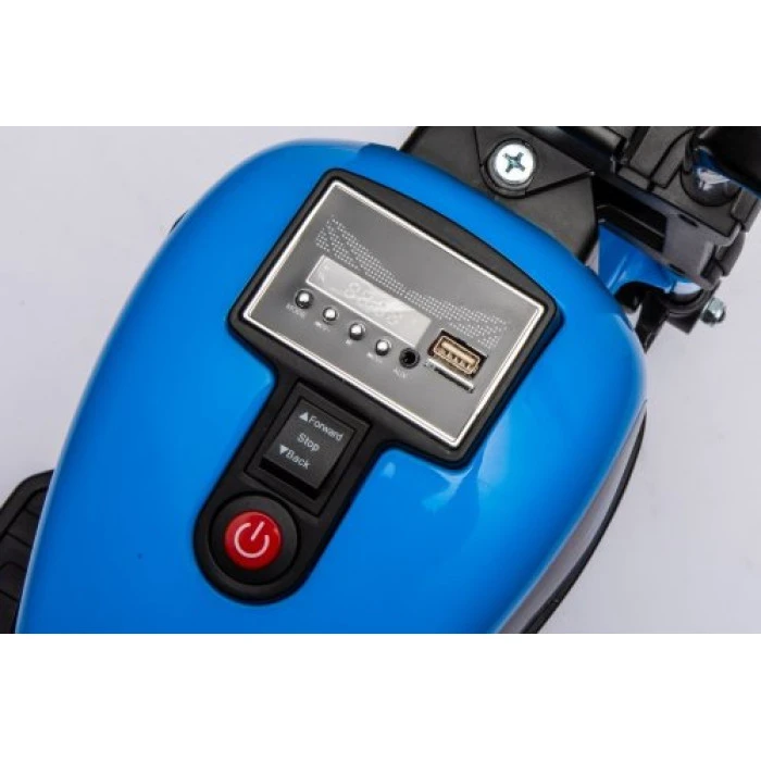 Дитячий акумуляторний мотоцикл BMW S1000 RR Mini