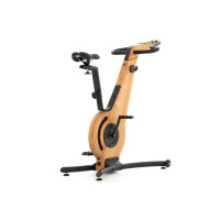 Велотренажер электромагнитный NOHRD Oak