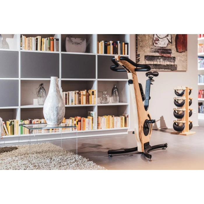 Велотренажер электромагнитный NOHRD Oak Vintage