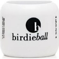 М'ячі для волейболу BirdieBall 12 шт, білі