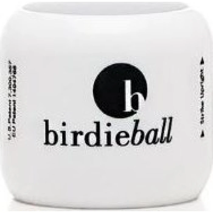 М'ячі для волейболу BirdieBall 12 шт, білі