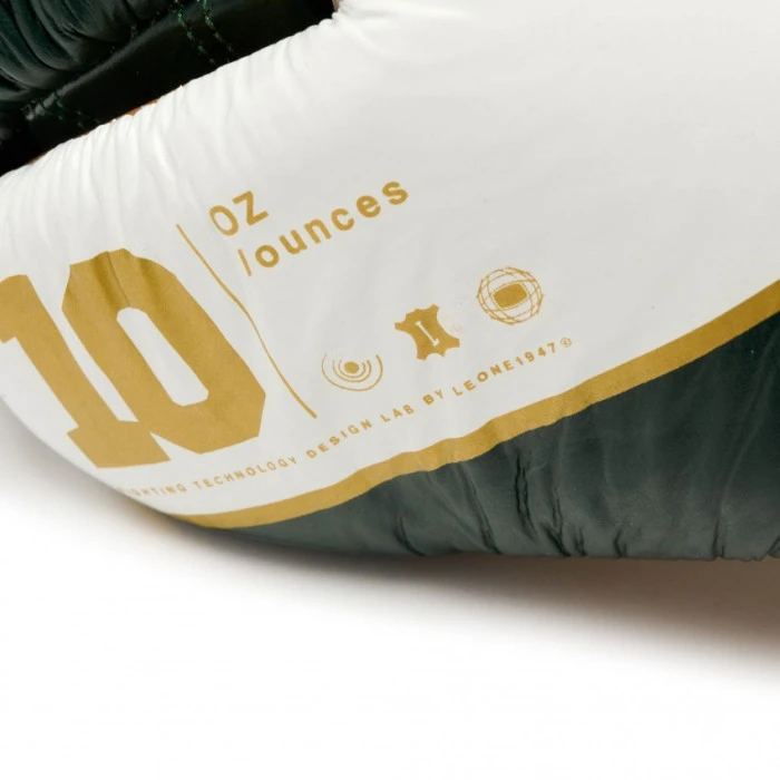Перчатки боксерские Leone Shock X 10 унций, разноцветные