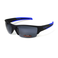 Окуляри поляризаційні BluWater Daytona-2 Polarized, сірі