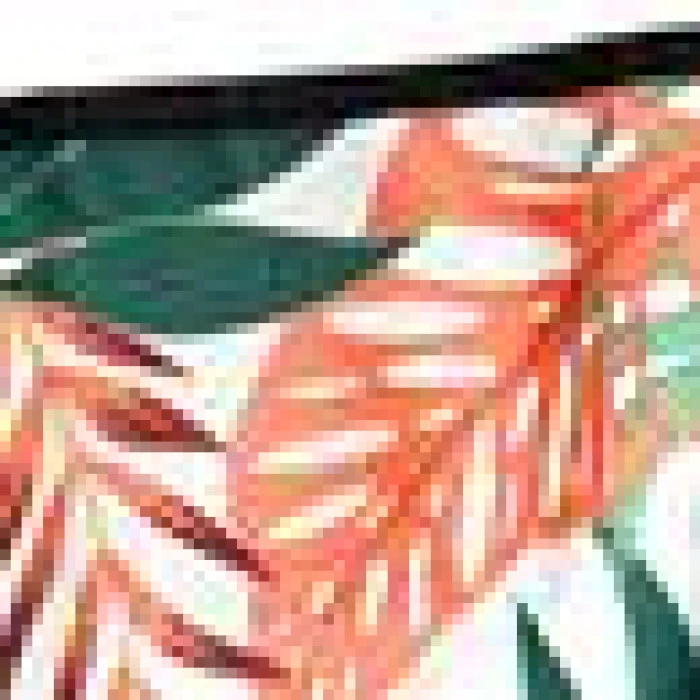 Крісло для кемпінгу NILS CAMP NC1625