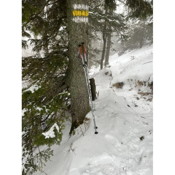 Трекинговые палки с 5-компонентной пробковой ручкой ACRA 115-135 см