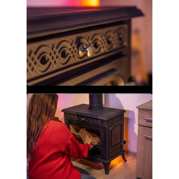 Дров'яна піч-камін чавунна Thunder Helios 10кВт