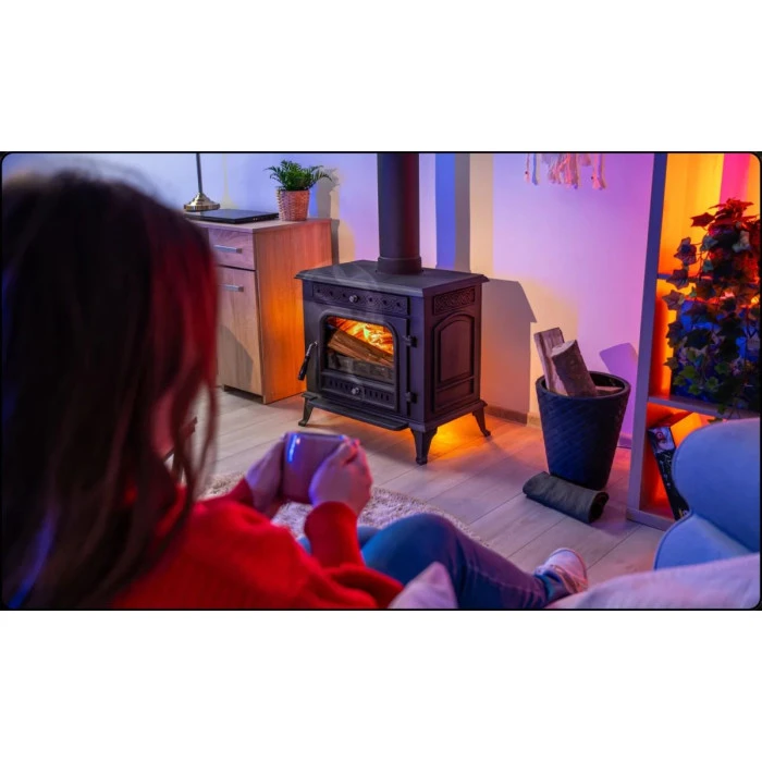 Дров'яна піч-камін чавунна Thunder Helios 10кВт