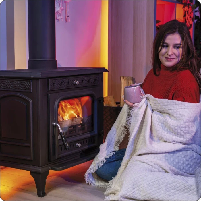 Дров'яна піч-камін чавунна Thunder Helios 10кВт