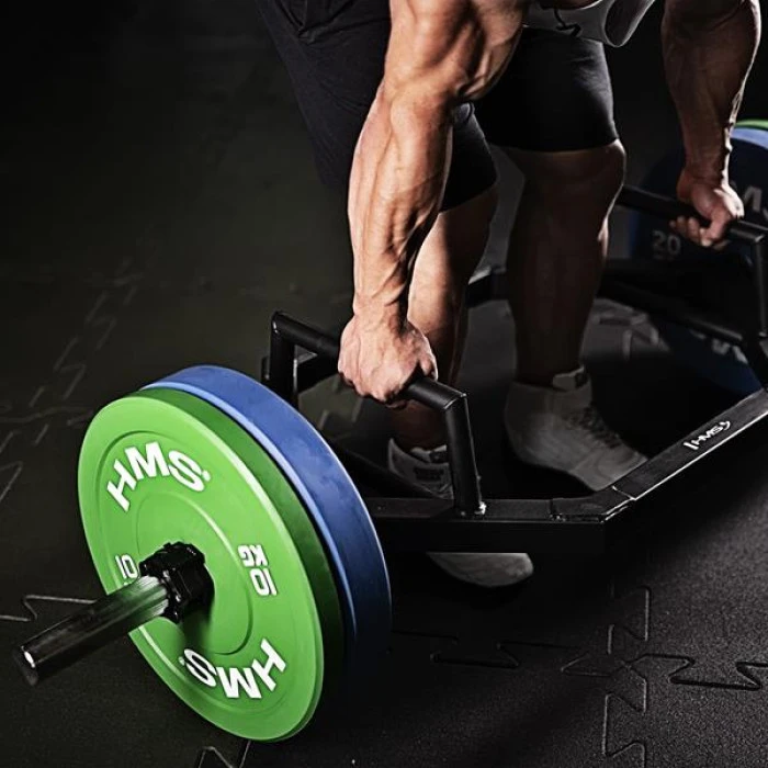 Диск олимпийский HMS CBR20 20 кг голубой