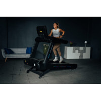 Беговая дорожка электрическая THUNDER ZION-TFT-BLACK