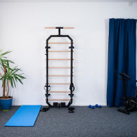 Драбина багатофункціональна гімнастична HMS DW2708