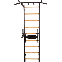 Лестница гимнастическая BenchK с перекладиной и перилами (830580)