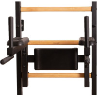 Лестница гимнастическая BenchK с перекладиной и перилами (830580)