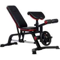 Скамейка тренажерная многофункциональная DelSport DS6102