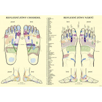 Акупунктурний килимок з подушкою MOVIT 130 x 50 см - бірюзовий