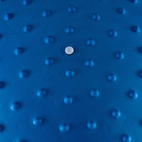 Мяч гимнастичный с вкладками Body Sculpture 65 см