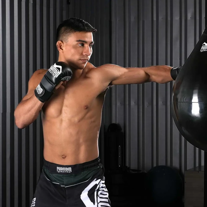 Перчатки для ММА Phantom RIOT размер L/XL, черные