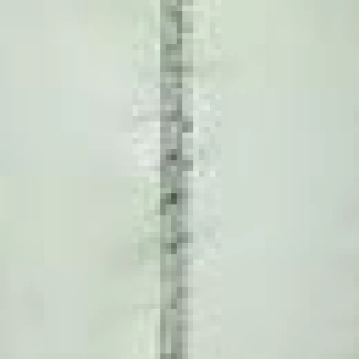 Пляжная палатка NC3173 NILS CAMP зеленый