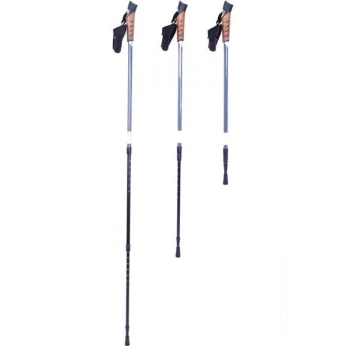 Треккинговые палки inSPORTline Vilarica - черно-серые