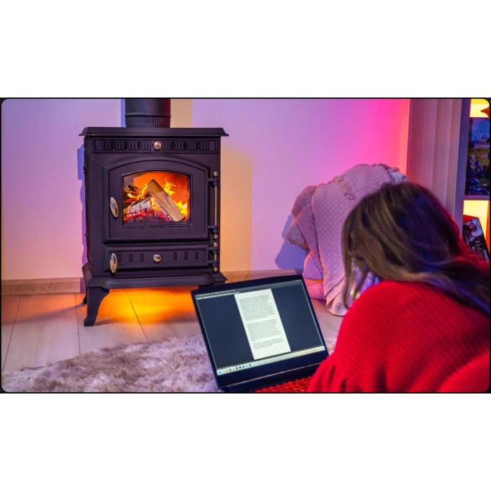 Дров'яна піч-камін чавунна Thunder Mitra 7кВт