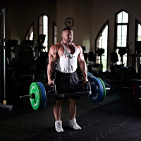 Диск олімпійський HMS CBR25 25 кг, червоний