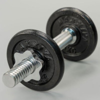 Набір дисків Maxxiva 4 х 1,25 кг