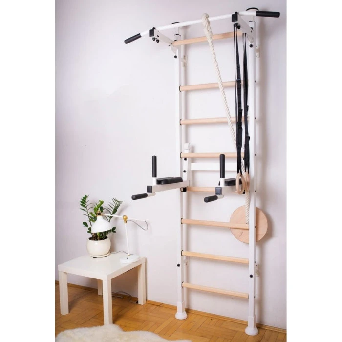 Лестница гимнастическая BenchK (830191)