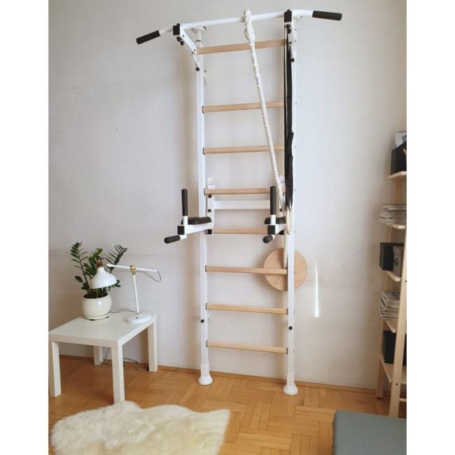 Лестница гимнастическая BenchK (830191)