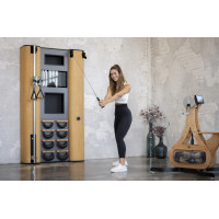 Настінний тренажер NOHRD Shadow Ash