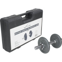 Гантель Vivo FG003 чугун 1 х 10 кг