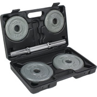 Гантель Vivo FG003 чугун 1 х 10 кг