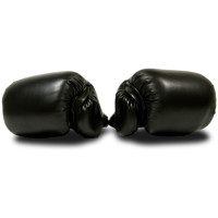 Боксерские перчатки MASTER 8 унций